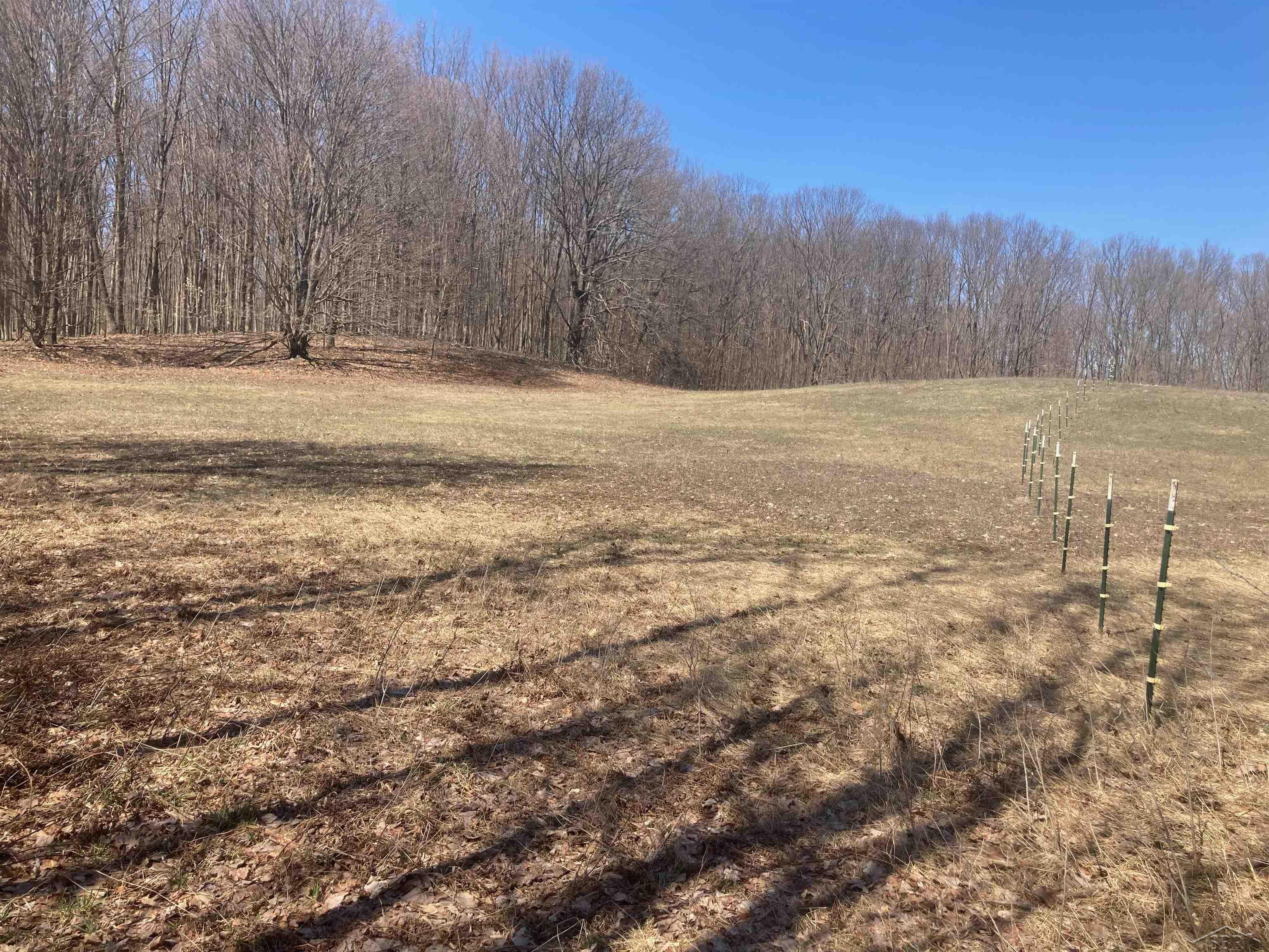 8353 W 12 Mile Road, Walkerville, MI, 49459