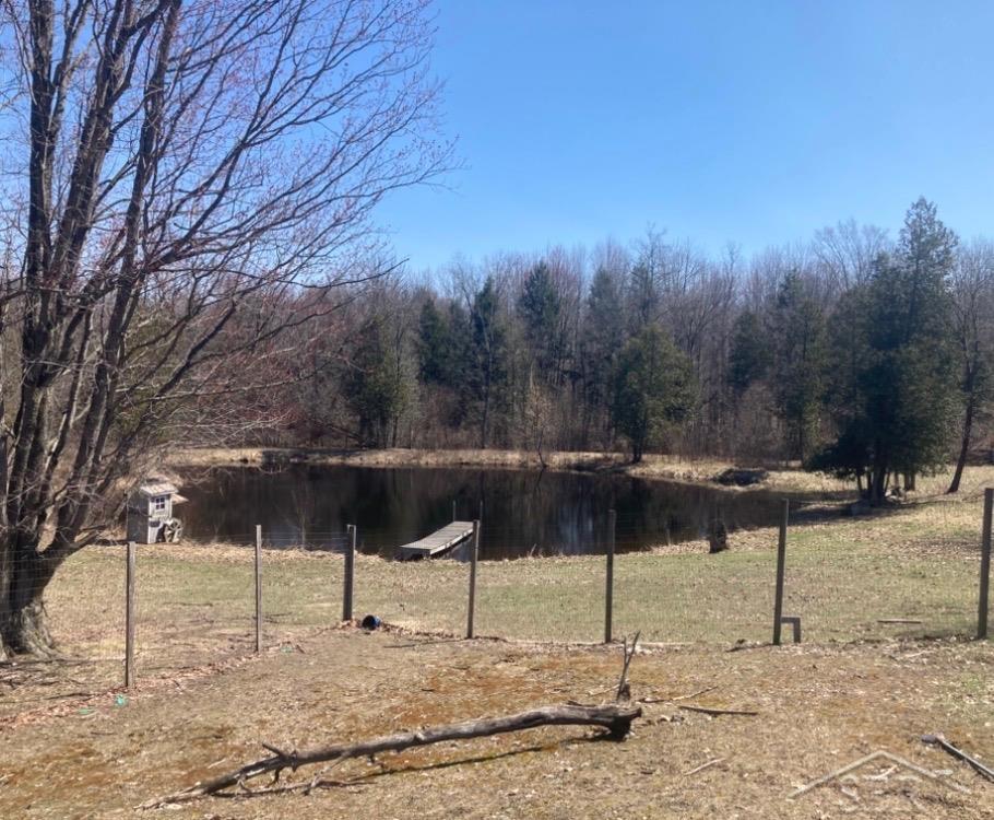 8353 W 12 Mile Road, Walkerville, MI, 49459