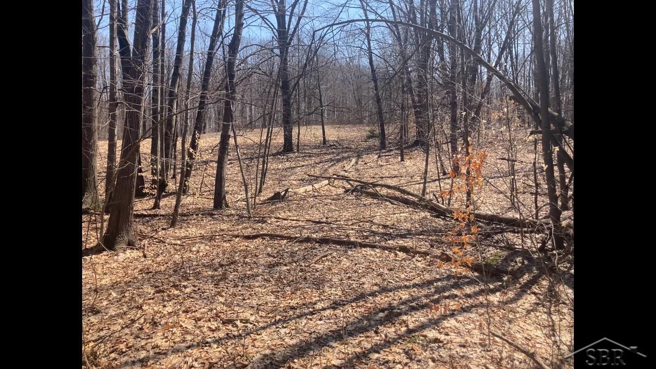 8353 W 12 Mile Road, Walkerville, MI, 49459