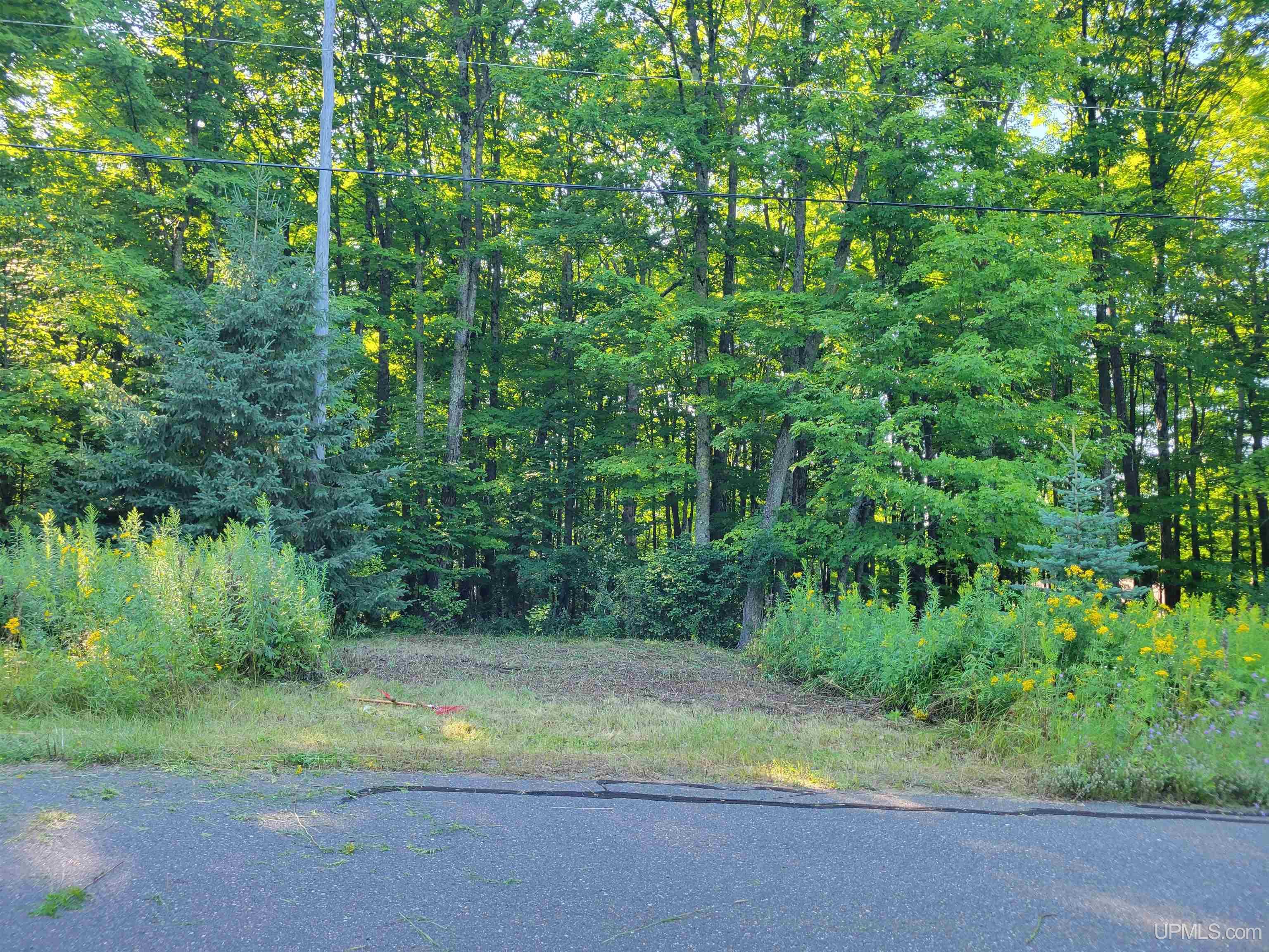 MLS 50203537 Large photo number 4 