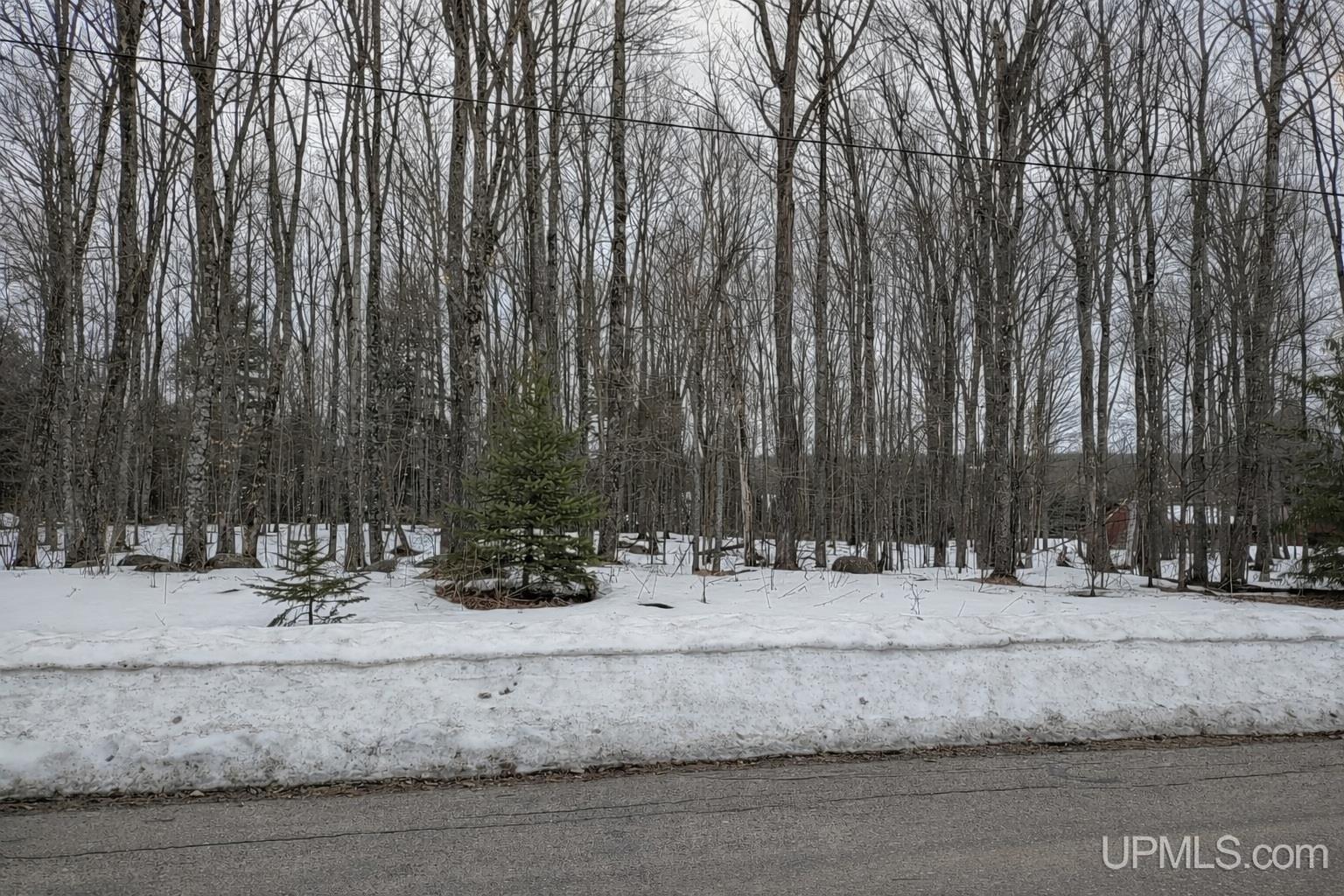 MLS 50203537 Large photo number 5 
