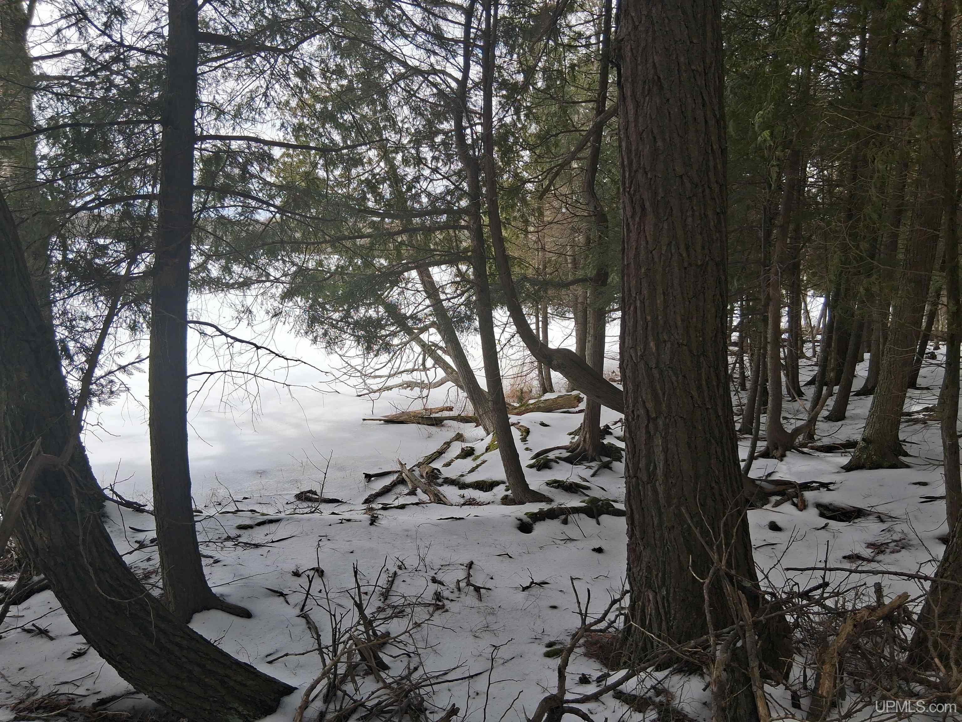 MLS 50203537 Large photo number 9 