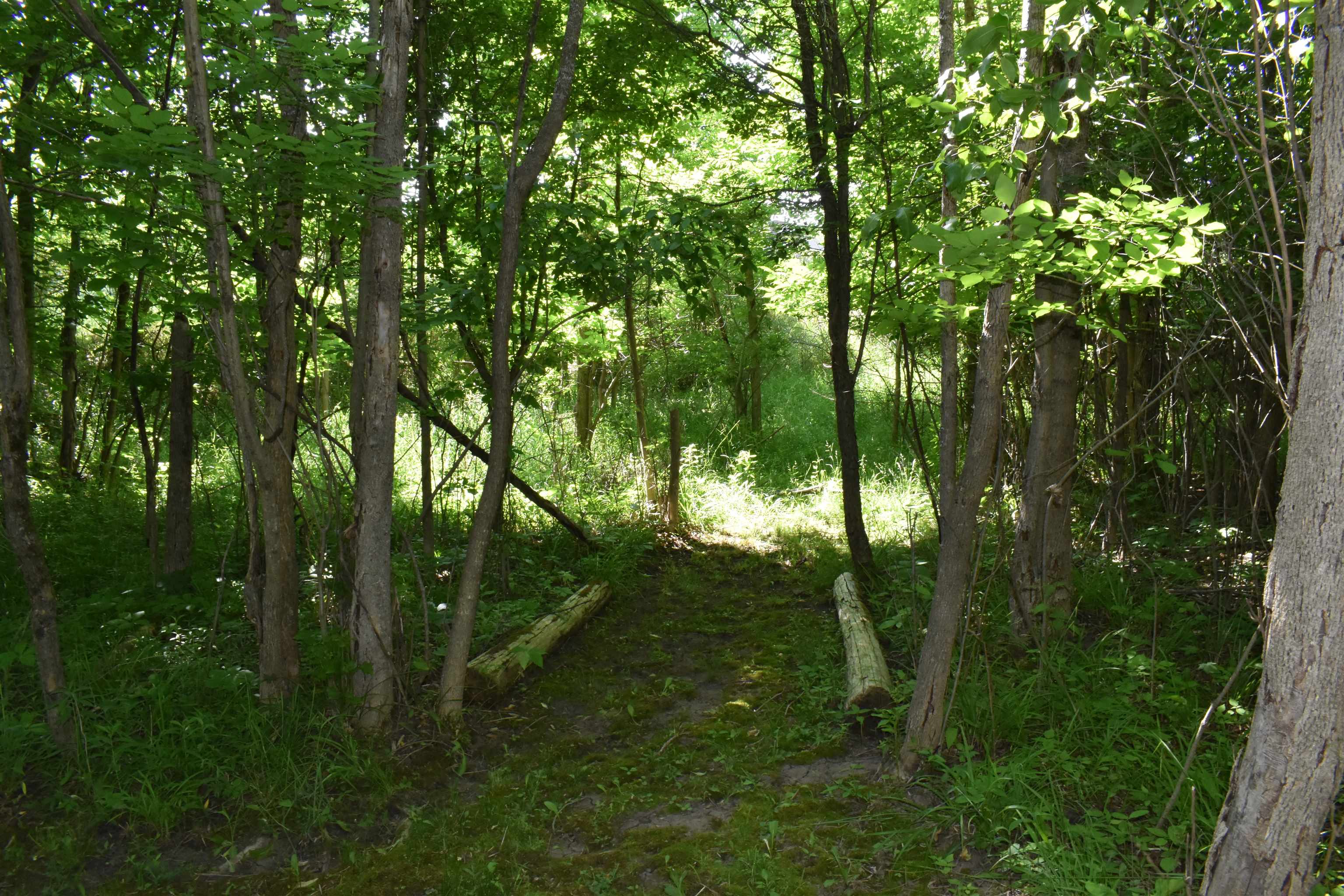 2019 Huntington Circle, Gladwin, MI, 48624