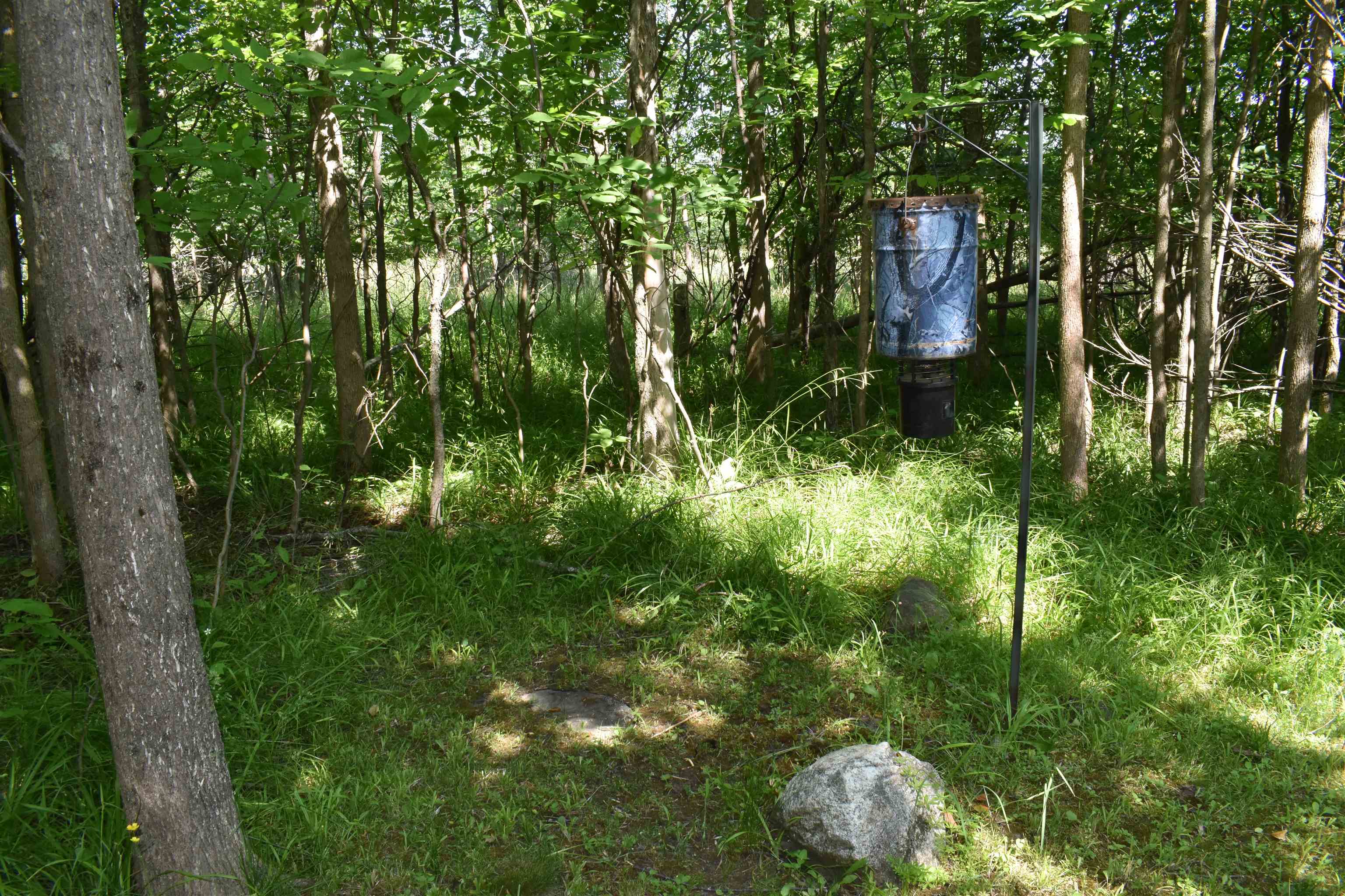 2019 Huntington Circle, Gladwin, MI, 48624