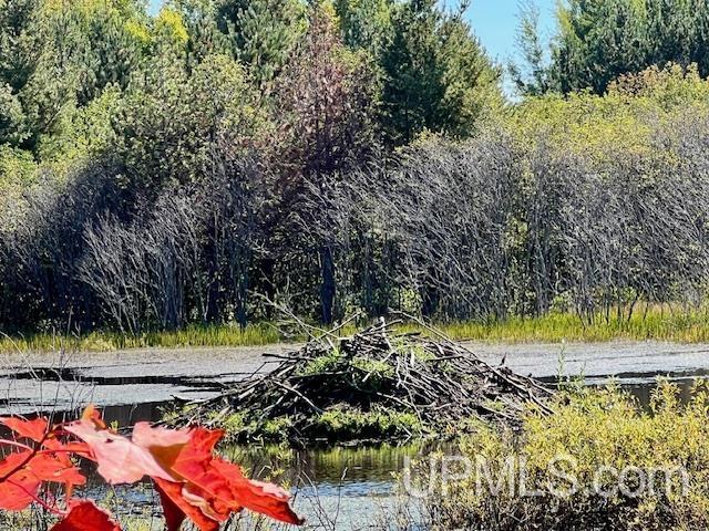 25307 Dover Road, Calumet, MI, 49913