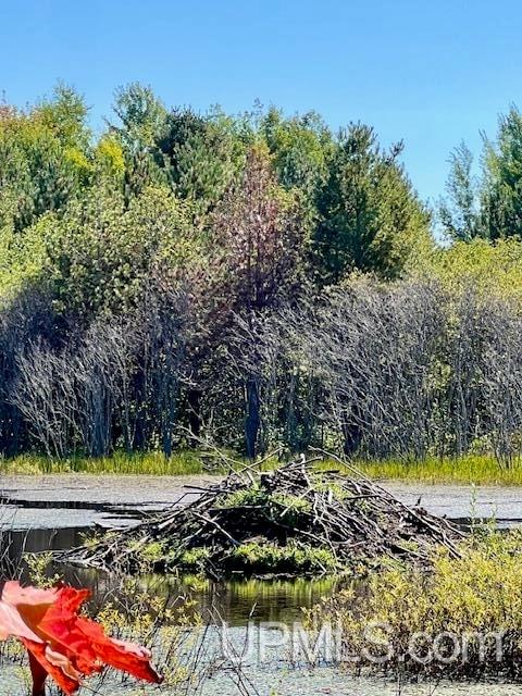 25307 Dover Road, Calumet, MI, 49913