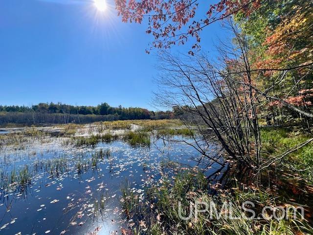 25307 Dover Road, Calumet, MI, 49913