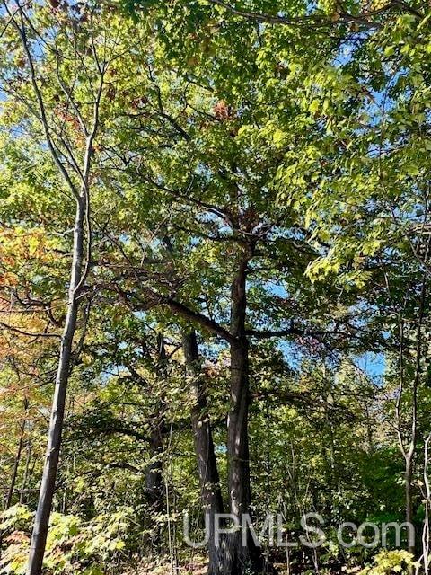 25307 Dover Road, Calumet, MI, 49913