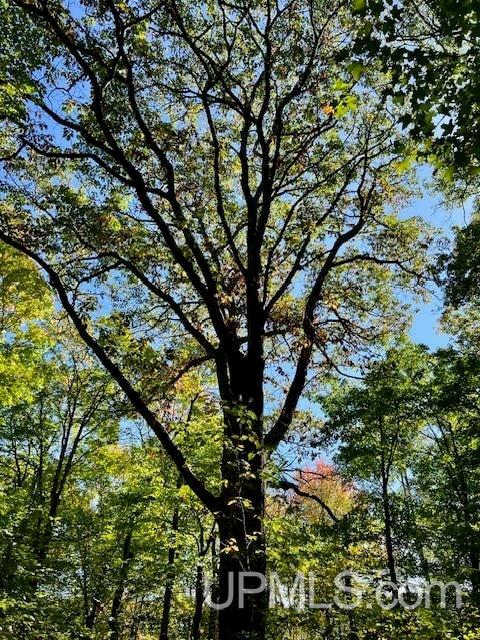 25307 Dover Road, Calumet, MI, 49913