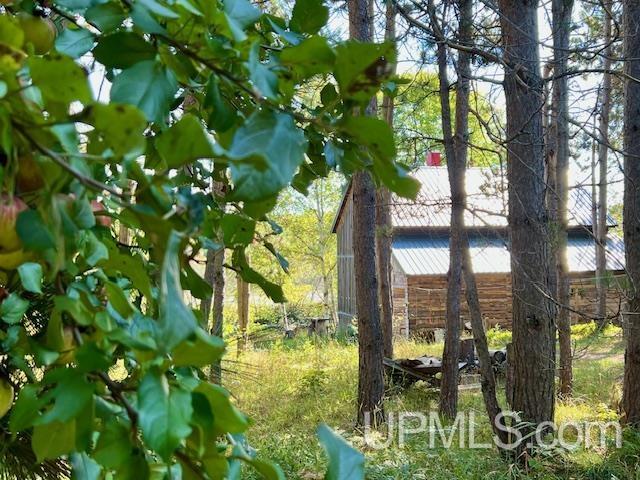 25307 Dover Road, Calumet, MI, 49913