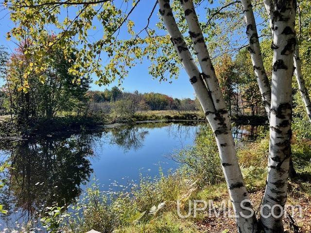 25307 Dover Road, Calumet, MI, 49913