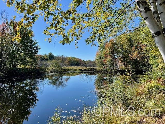 25307 Dover Road, Calumet, MI, 49913