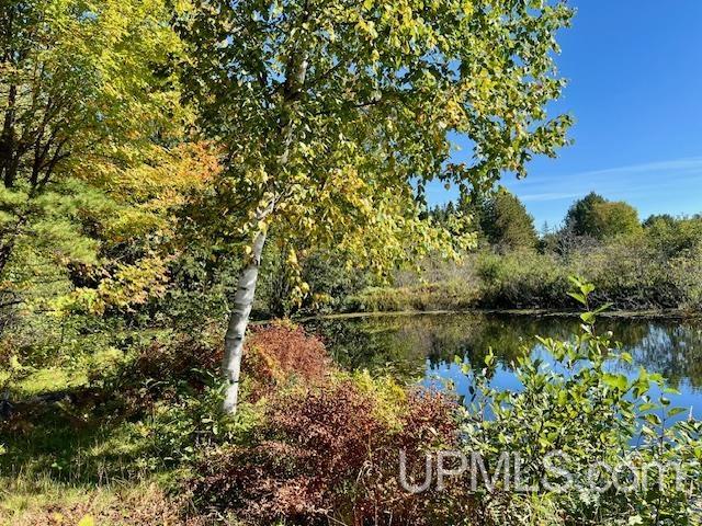 25307 Dover Road, Calumet, MI, 49913