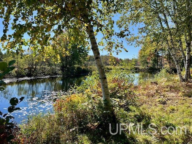 25307 Dover Road, Calumet, MI, 49913