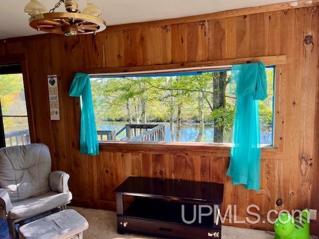 25307 Dover Road, Calumet, MI, 49913