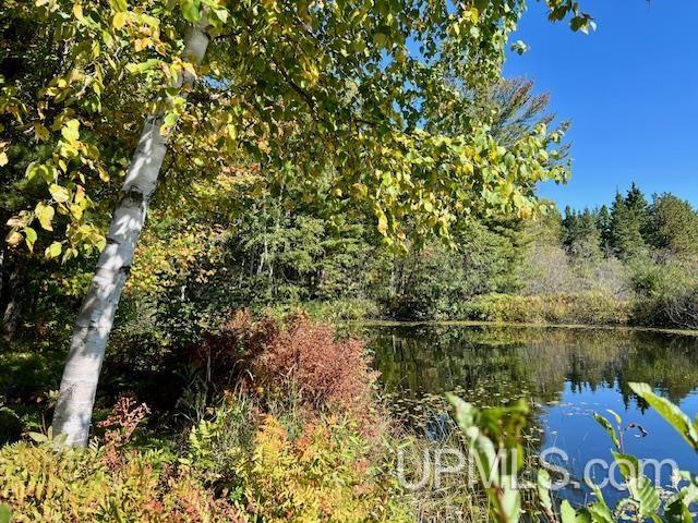 25307 Dover Road, Calumet, MI, 49913