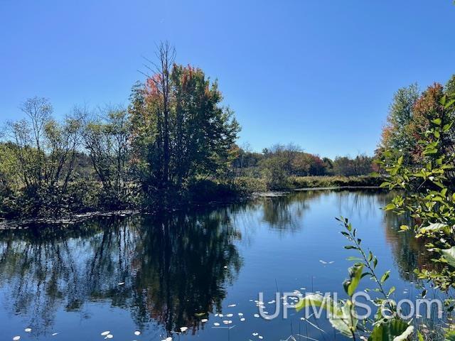 25307 Dover Road, Calumet, MI, 49913