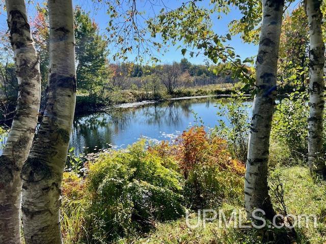 25307 Dover Road, Calumet, MI, 49913