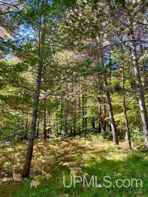 25307 Dover Road, Calumet, MI, 49913