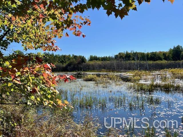 25307 Dover Road, Calumet, MI, 49913