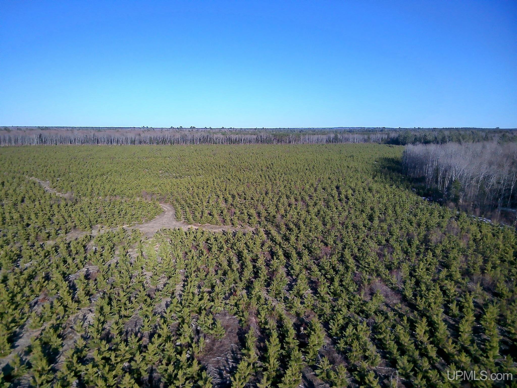 11042 W Lilly Lake Road, Manistique, MI, 49854