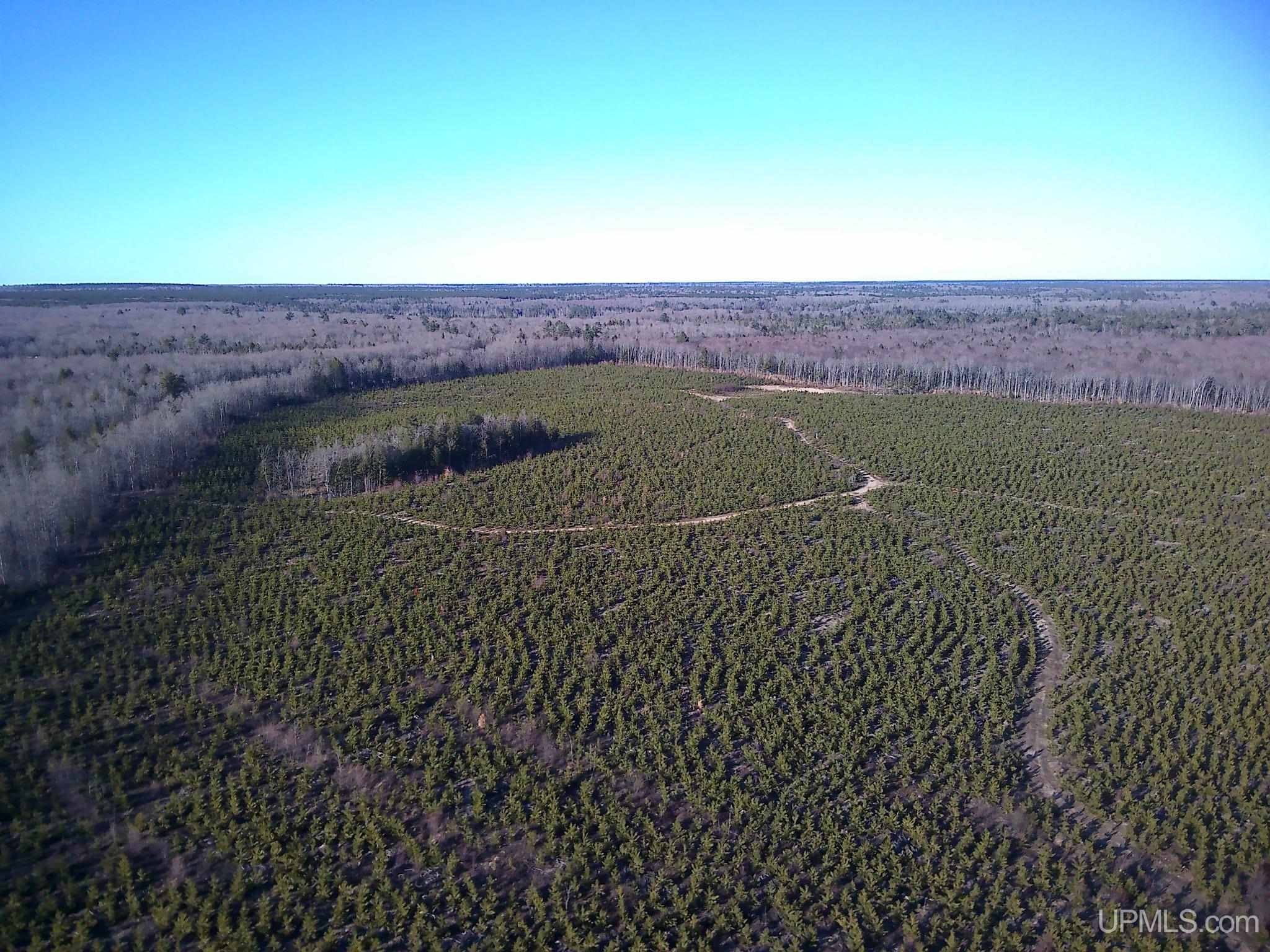 TBD Parcel 4 16 Mile Lake Road, Au Train, MI, 49806