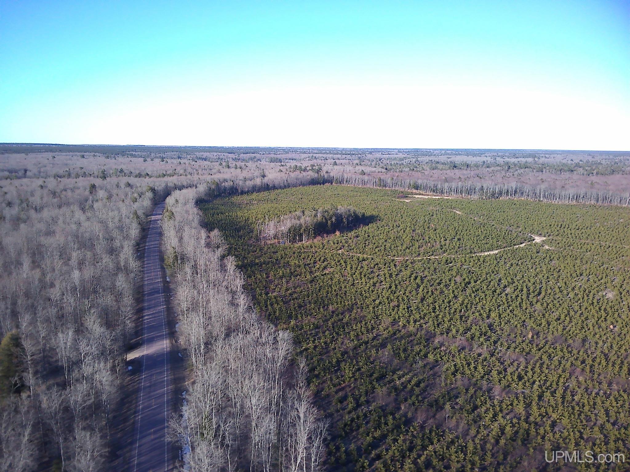 TBD Parcel 4 16 Mile Lake Road, Au Train, MI, 49806