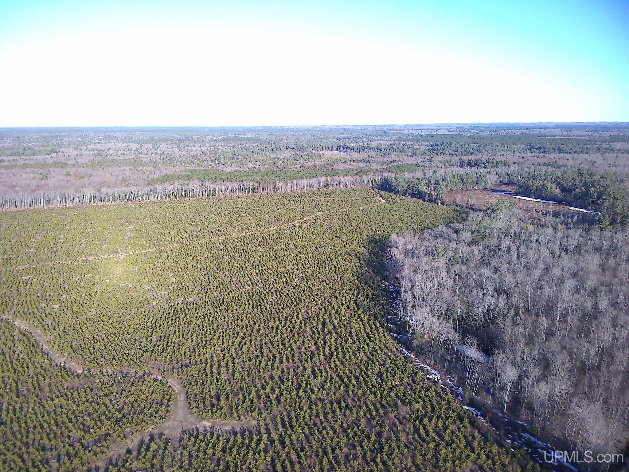 TBD Parcel 4 16 Mile Lake Road, Au Train, MI, 49806