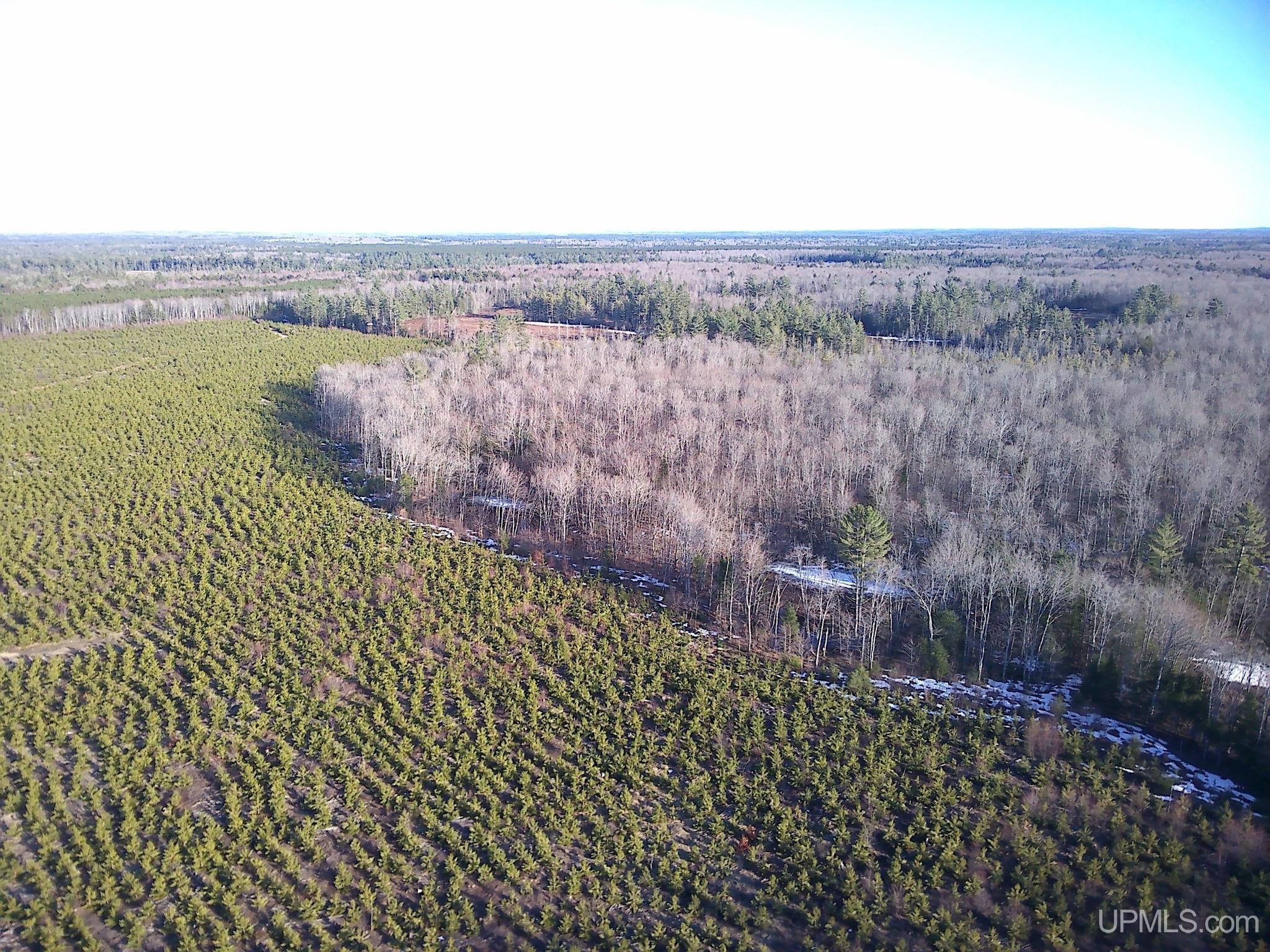 TBD Parcel 4 16 Mile Lake Road, Au Train, MI, 49806