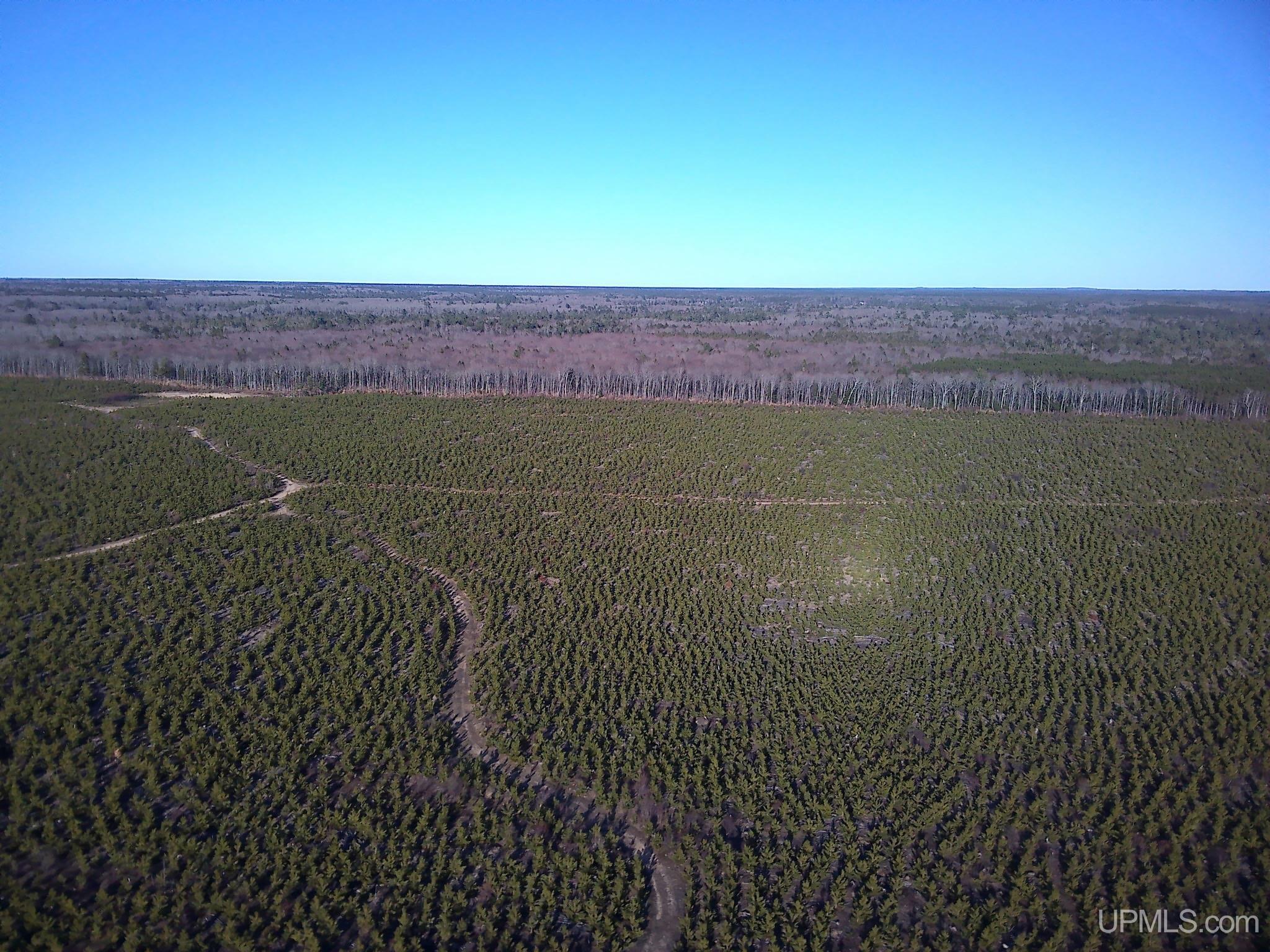 TBD Parcel 4 16 Mile Lake Road, Au Train, MI, 49806