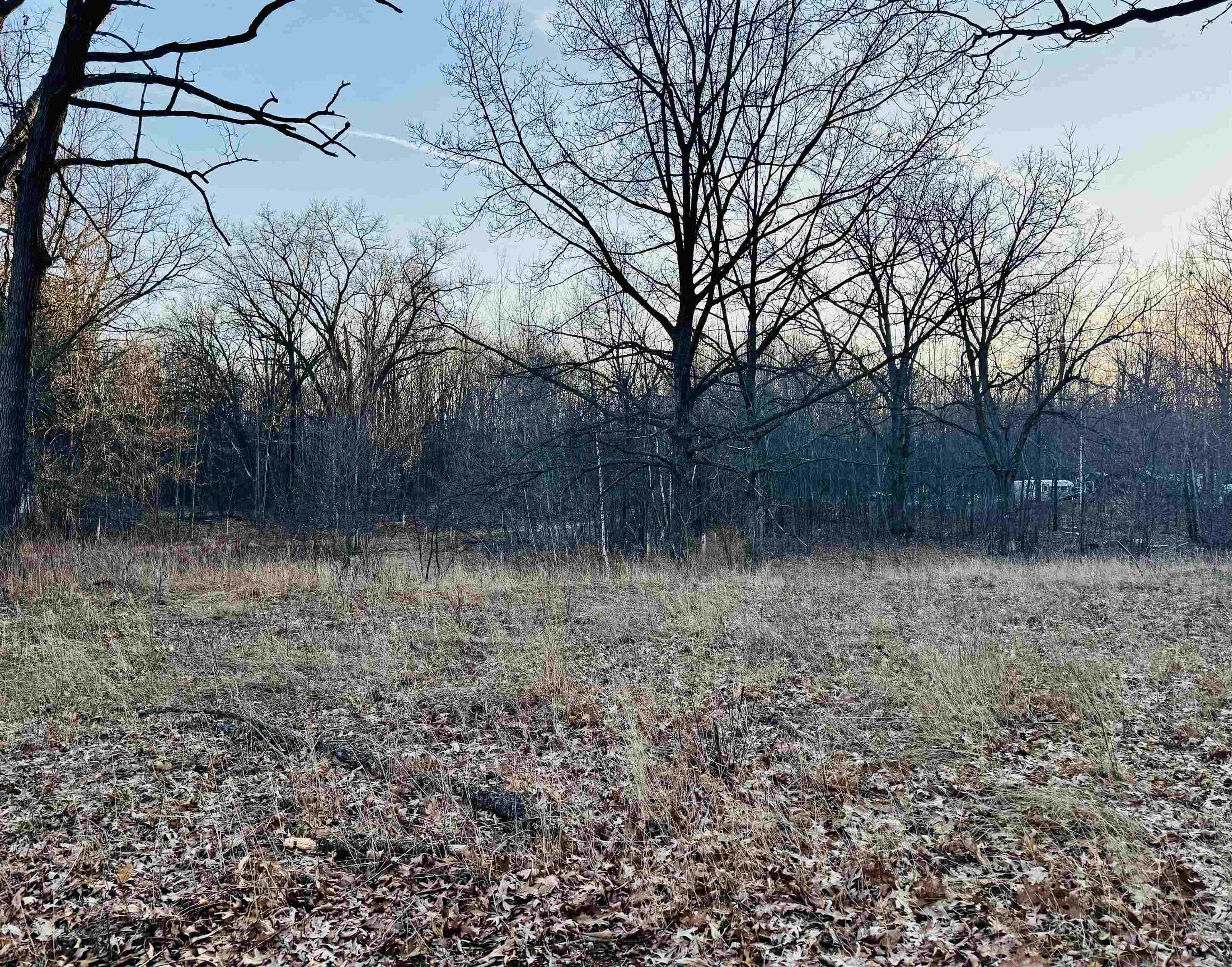 2730 S Clare Avenue, Clare, MI, 48617