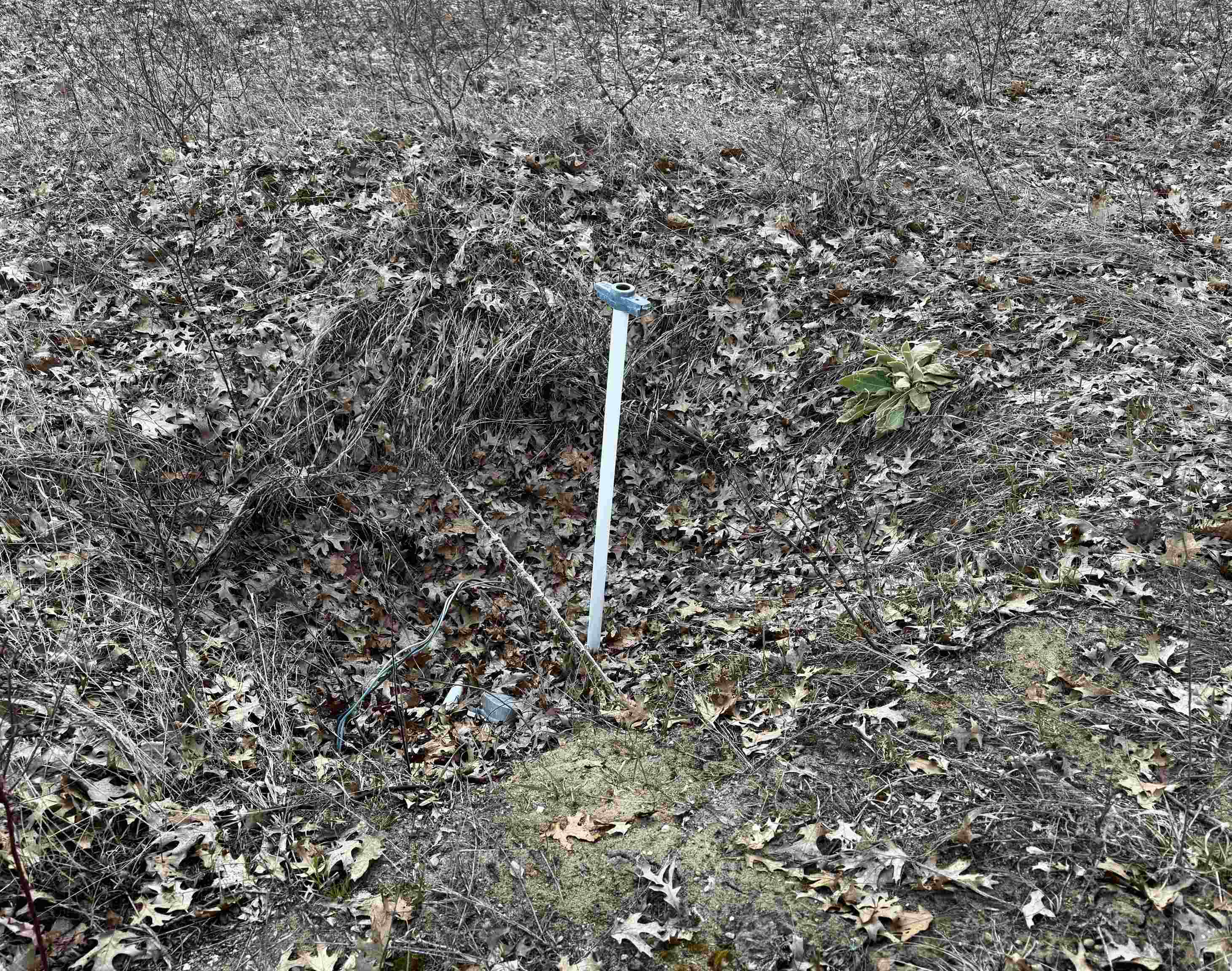 2730 S Clare Avenue, Clare, MI, 48617