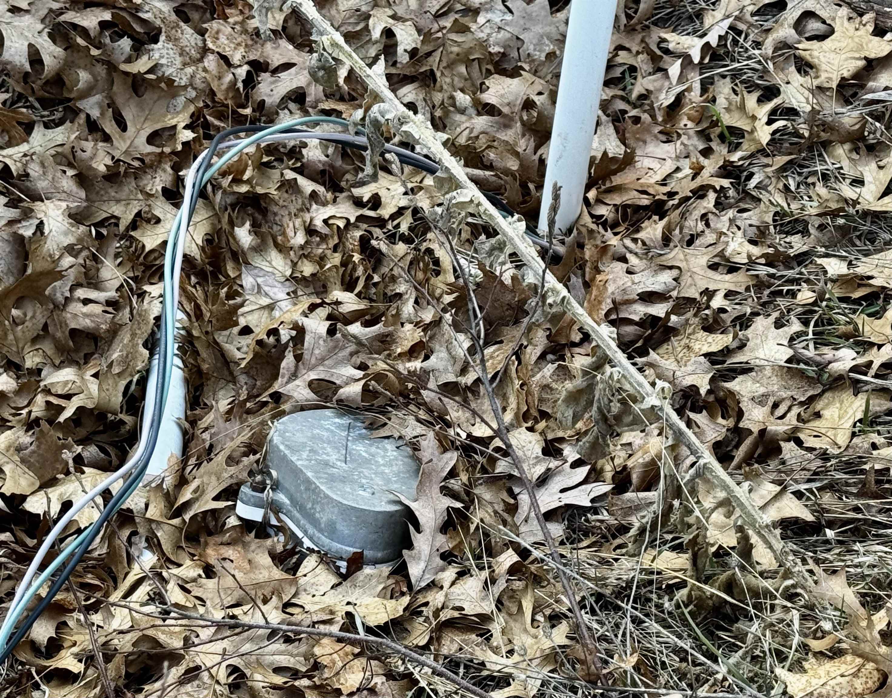 2730 S Clare Avenue, Clare, MI, 48617