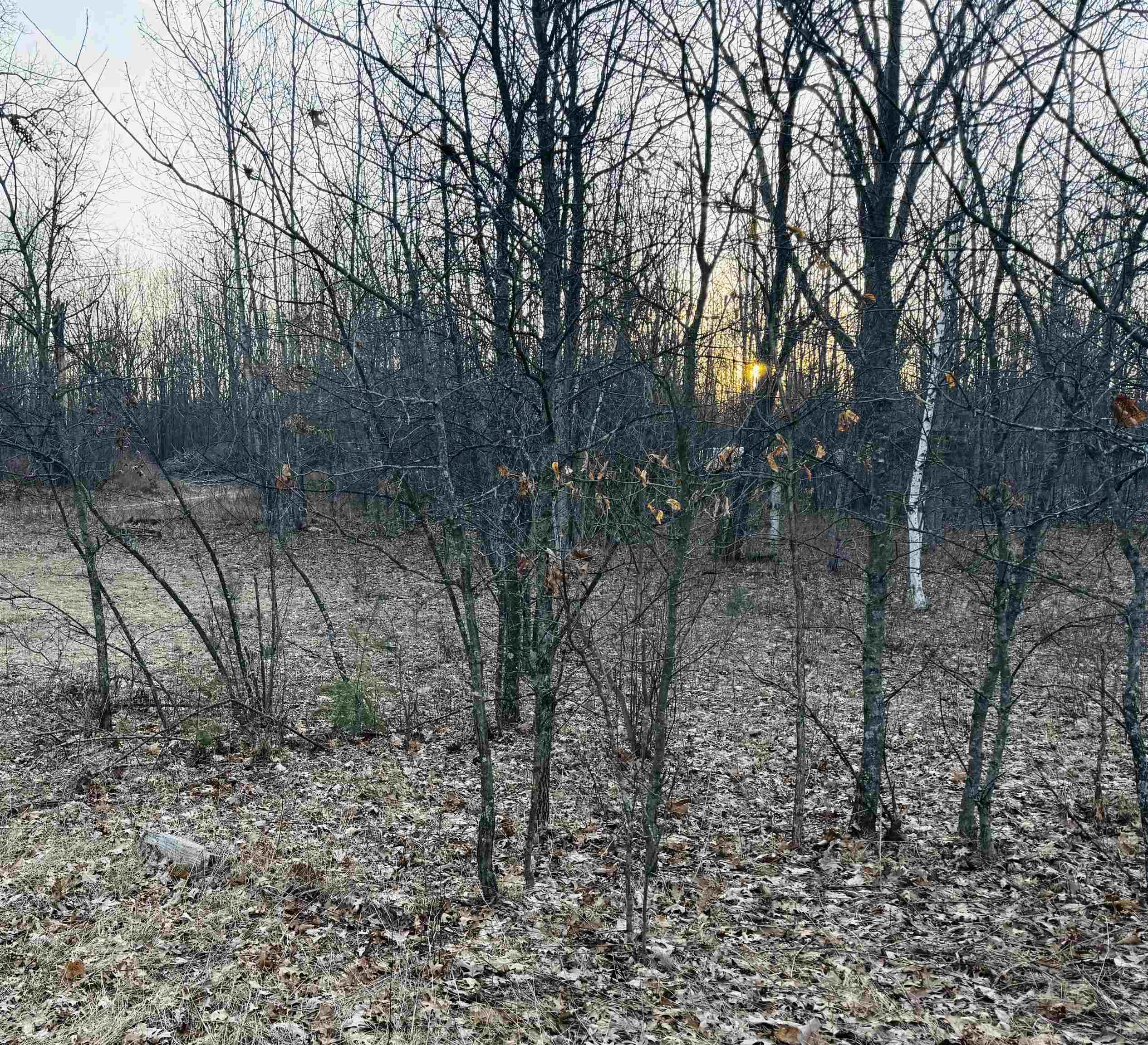 2730 S Clare Avenue, Clare, MI, 48617