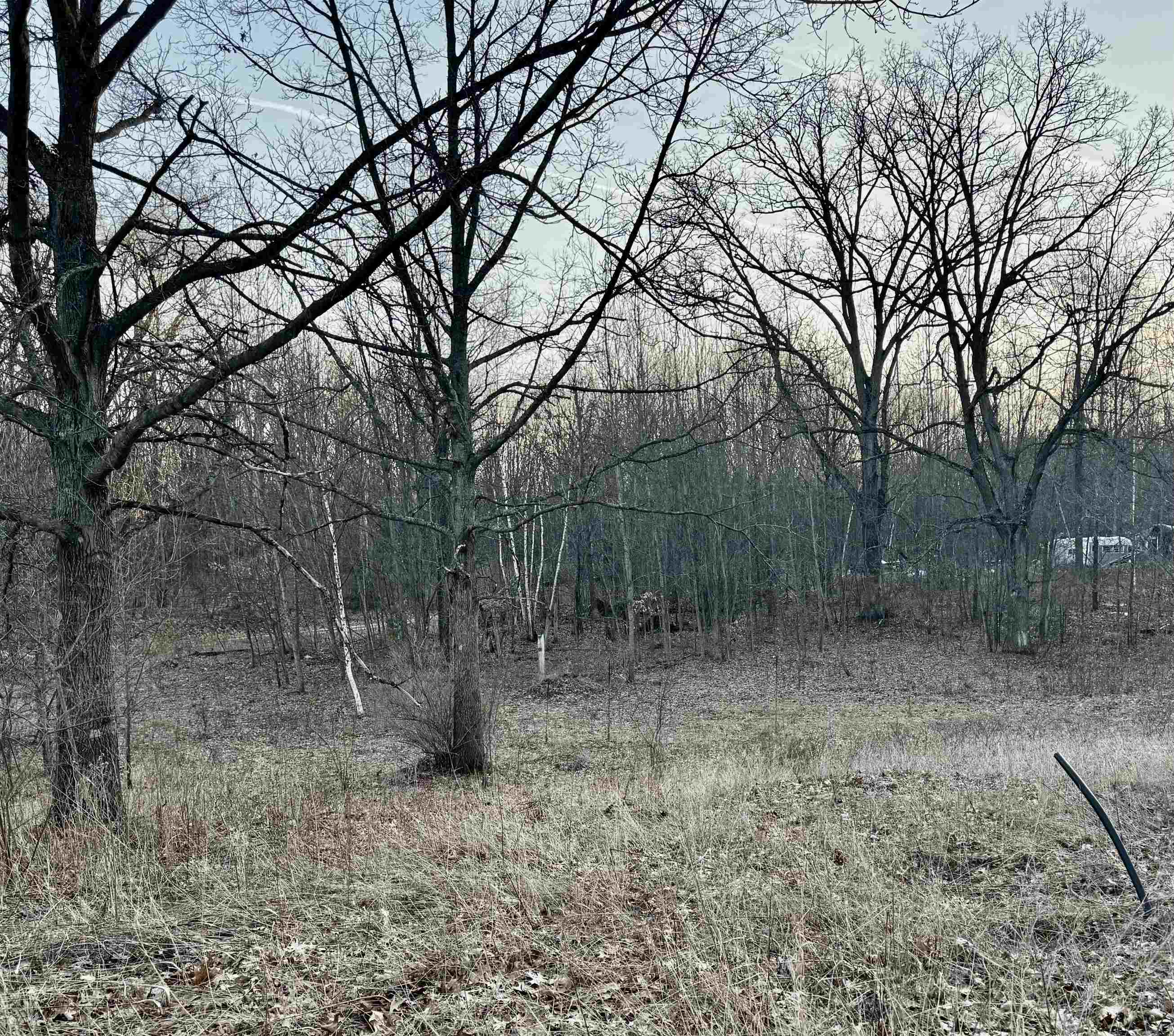 2730 S Clare Avenue, Clare, MI, 48617