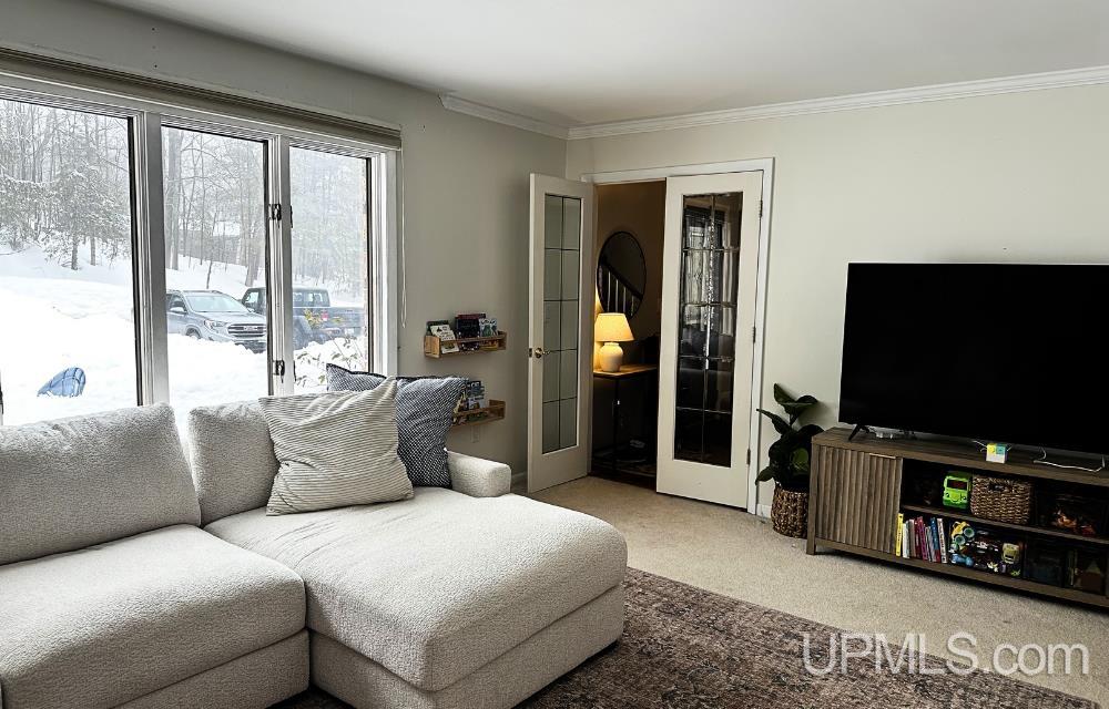 MLS 50203748 Large photo number 6 