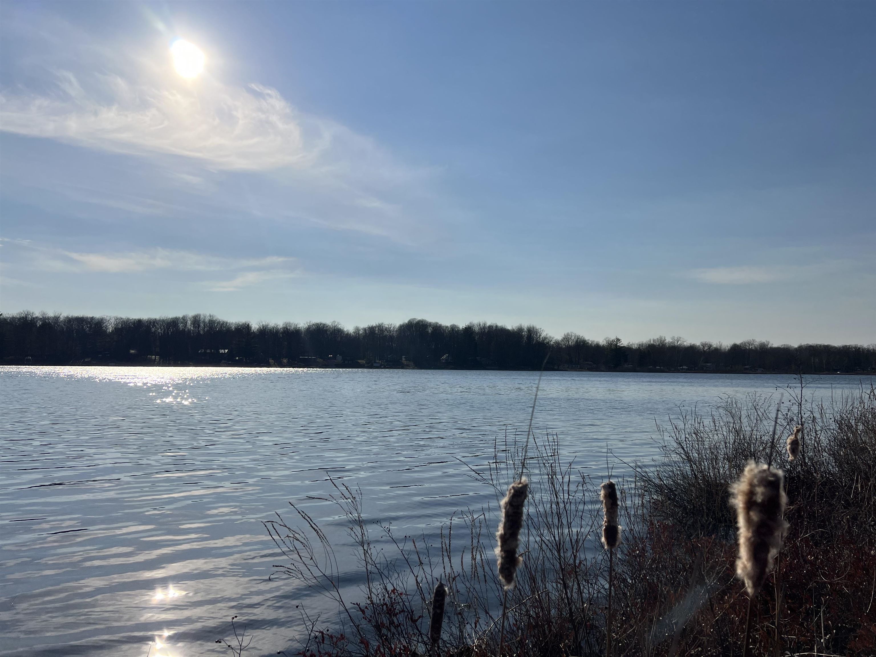 Megan Webster Featured Listings