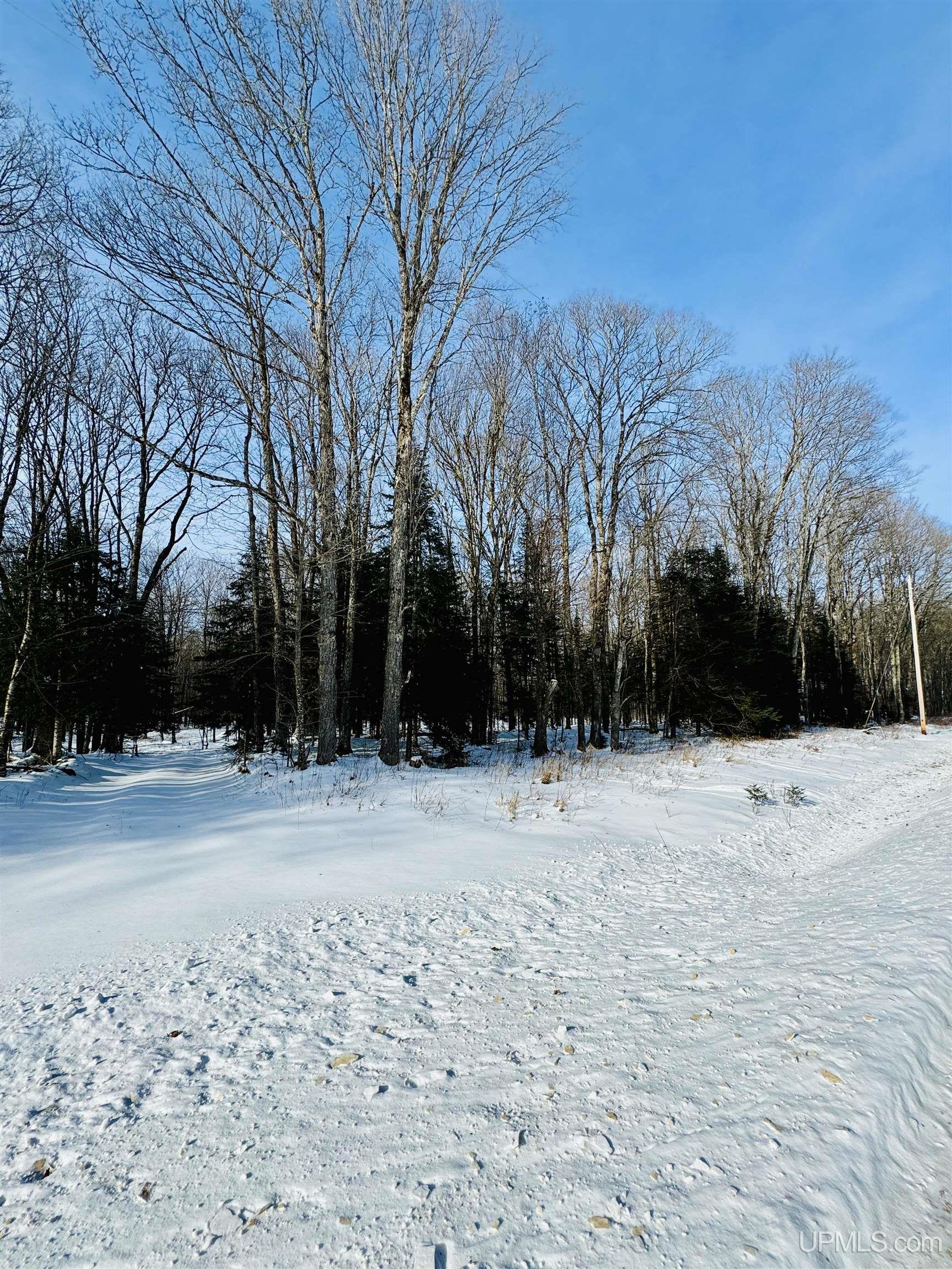 N2267 Coaster Road, Trenary, MI, 49891