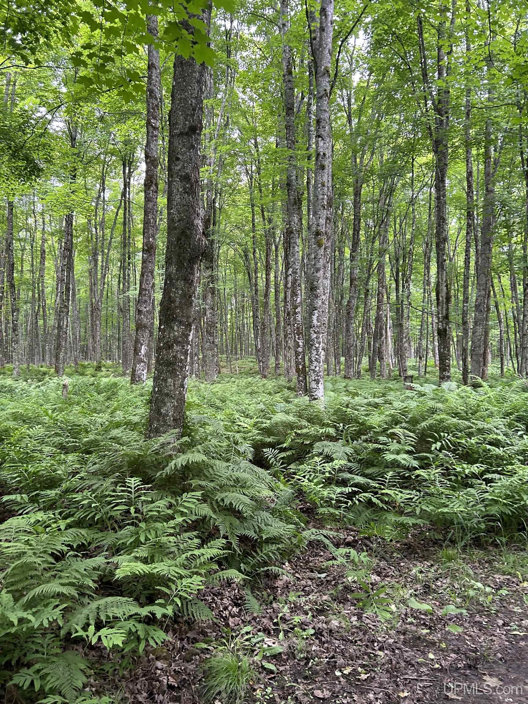 N2267 Coaster Road, Trenary, MI, 49891