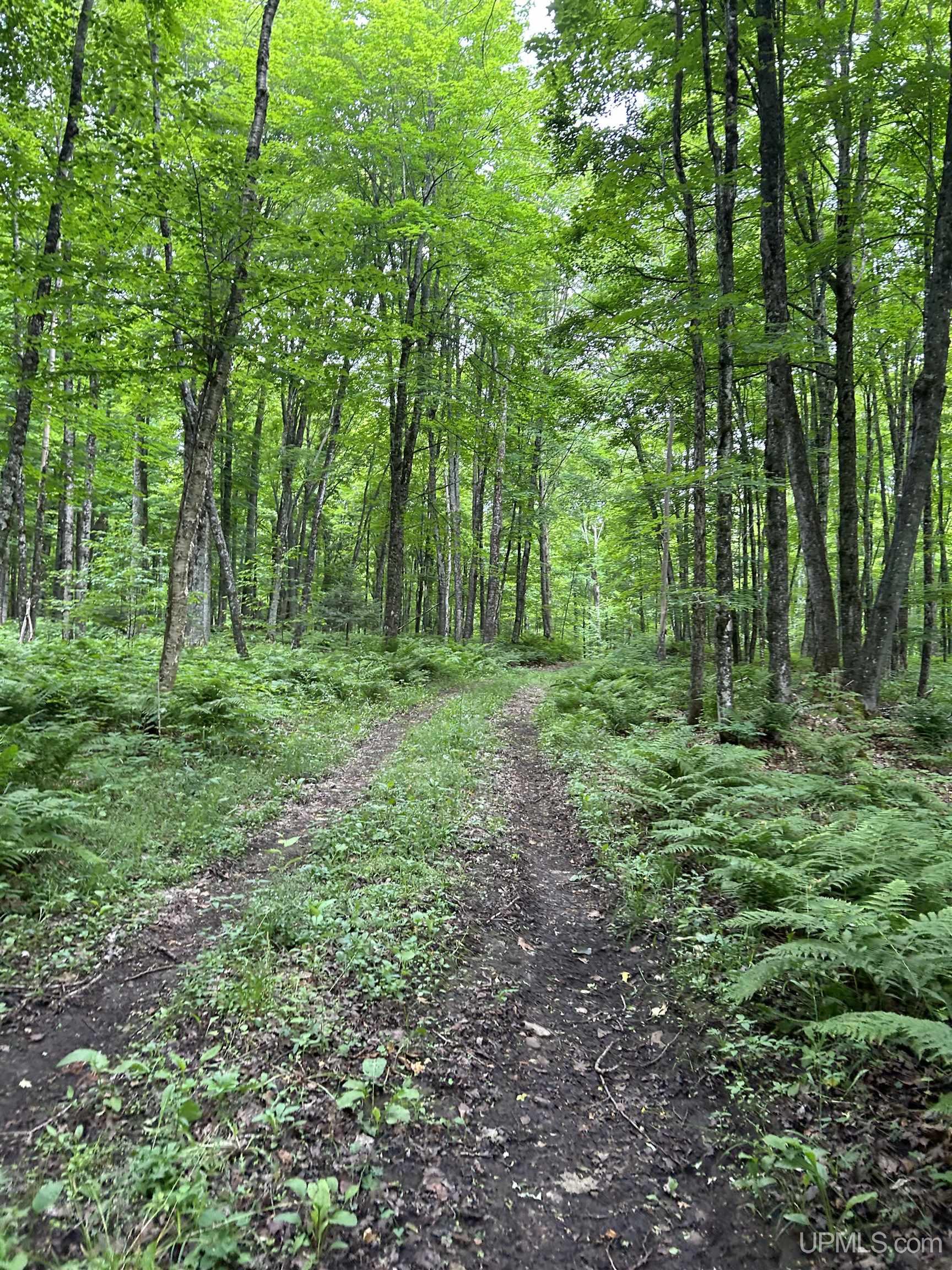 N2267 Coaster Road, Trenary, MI, 49891