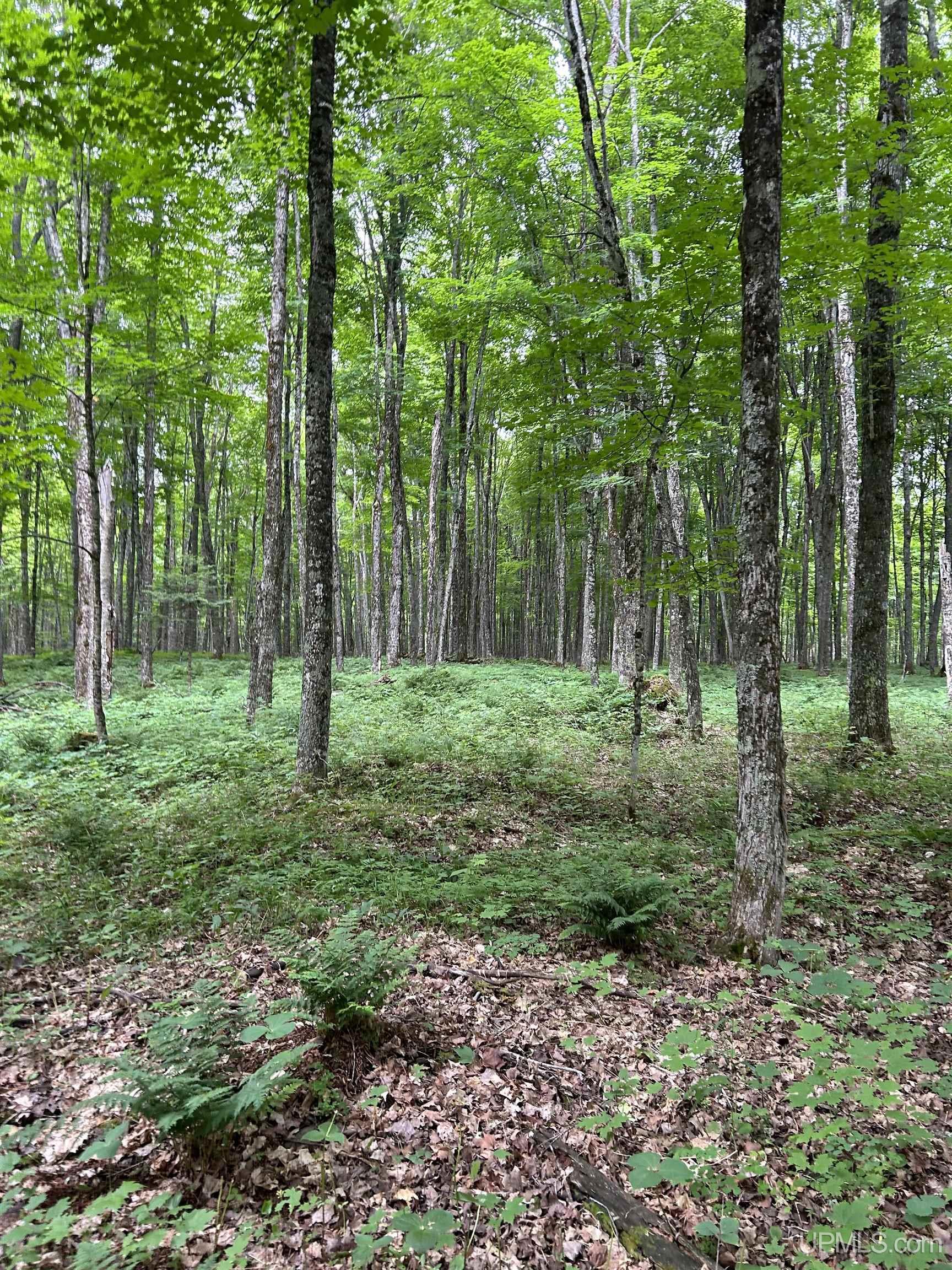 N2267 Coaster Road, Trenary, MI, 49891