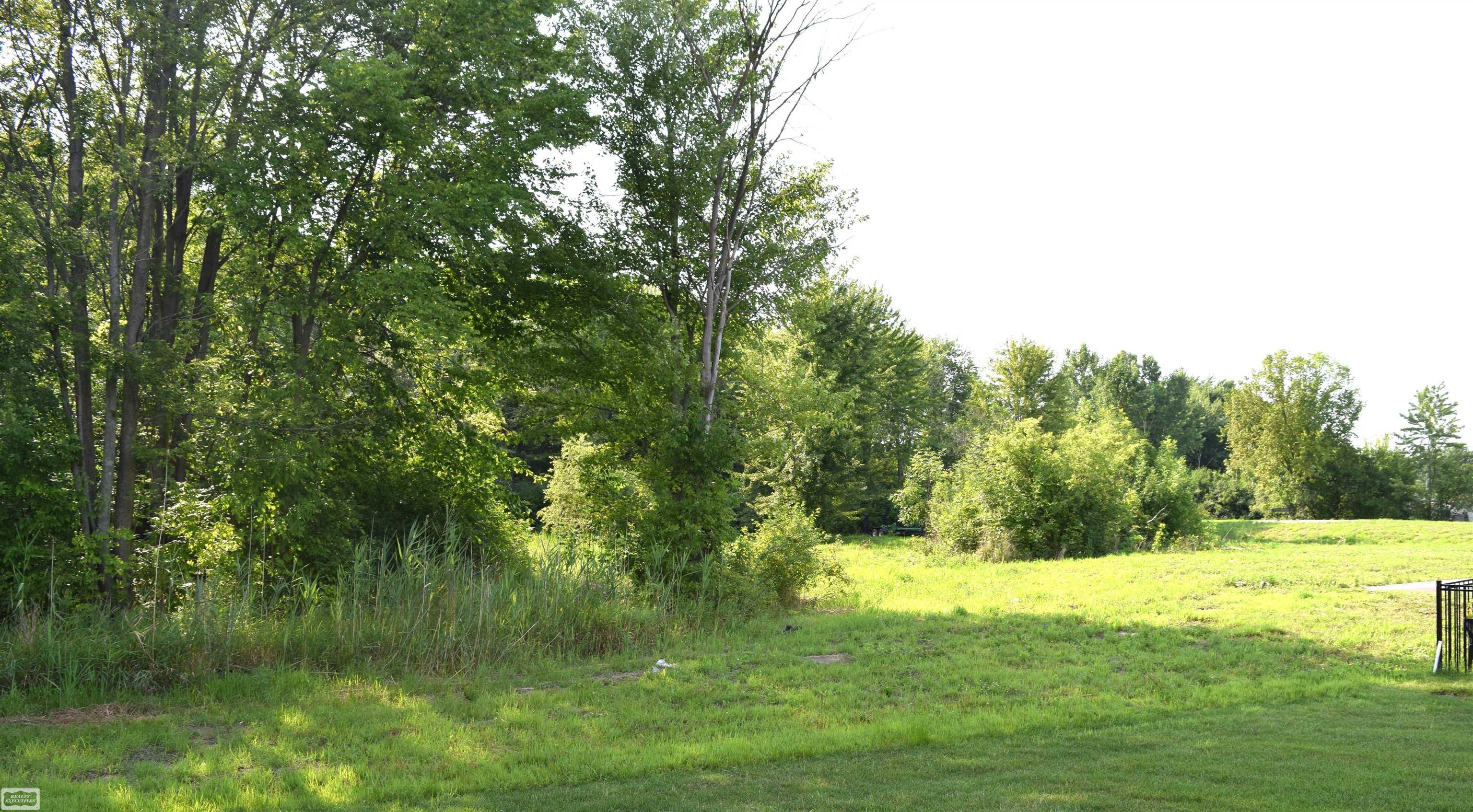 47043 Brookview Drive, New Baltimore, MI, 48047