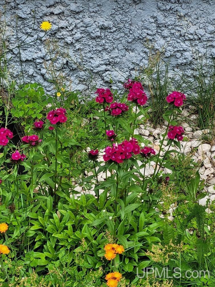 115 E College Avenue, Marquette, MI, 49855