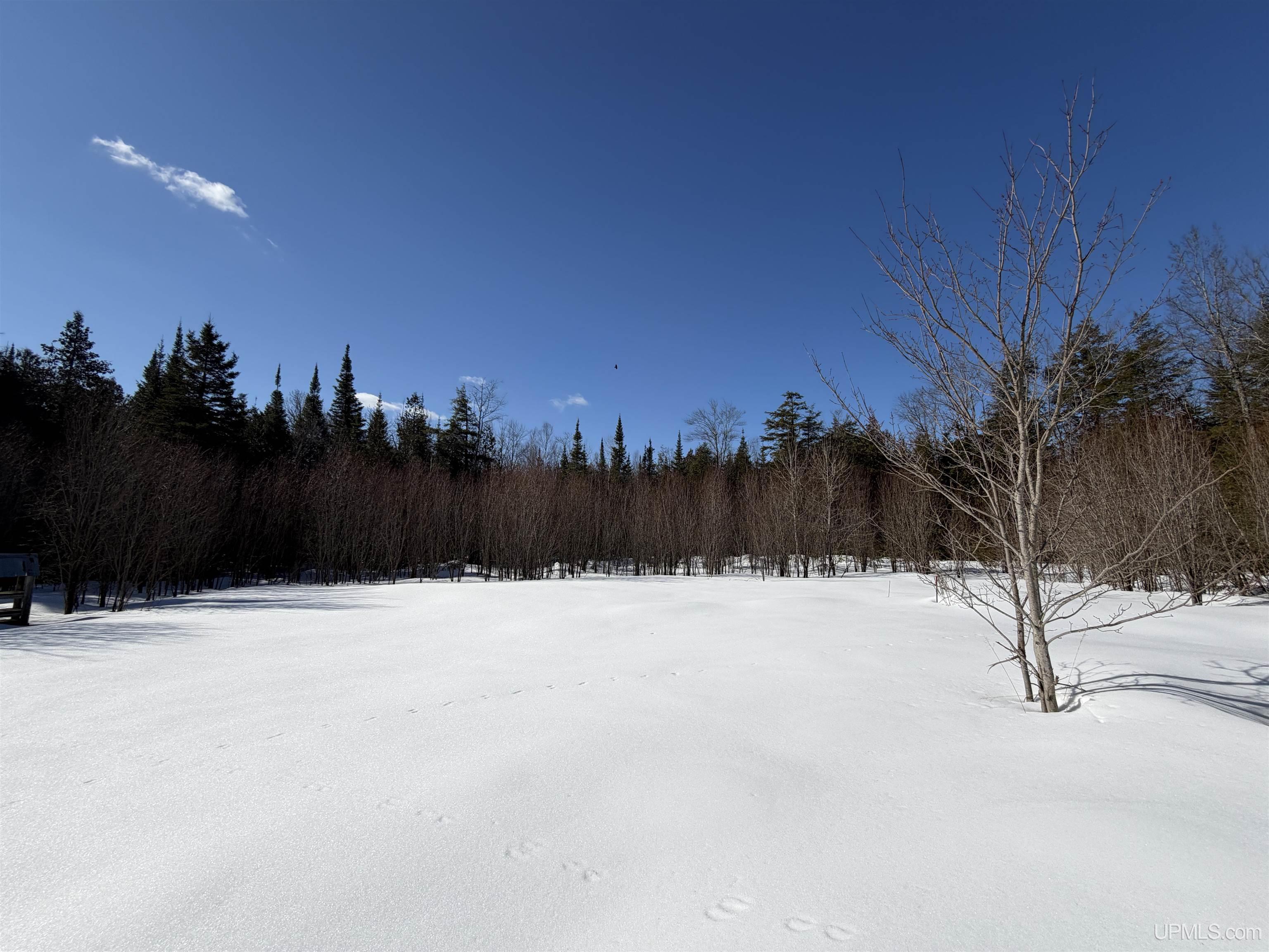 14145 County Road 450 Road, Newberry, MI, 49868