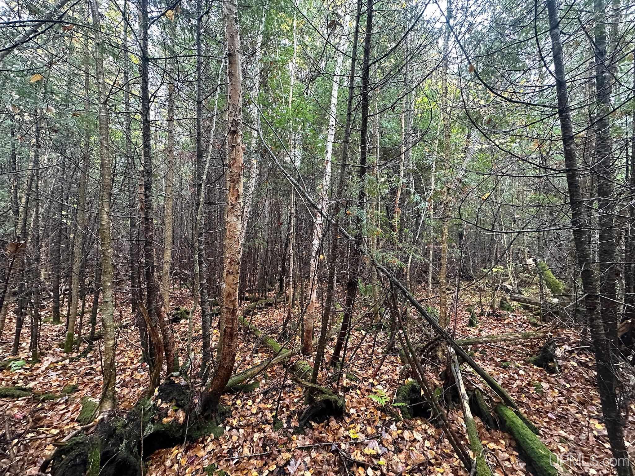 14145 County Road 450 Road, Newberry, MI, 49868