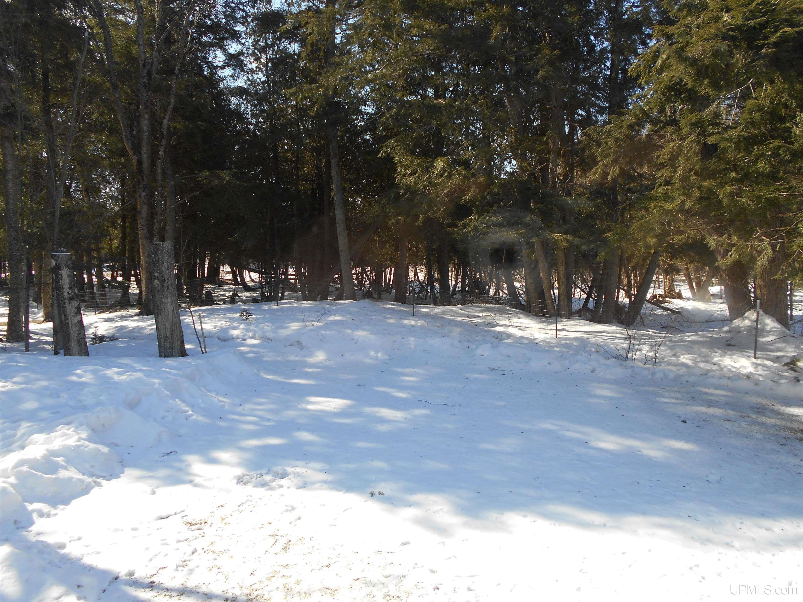 1325 S M149 Road, Manistique, MI, 49854