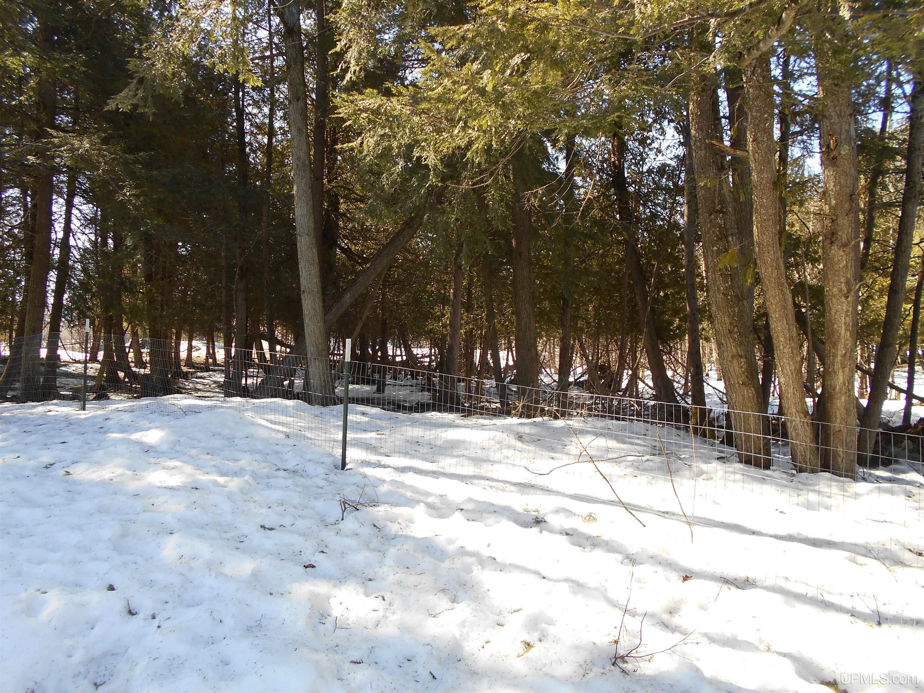 1325 S M149 Road, Manistique, MI, 49854