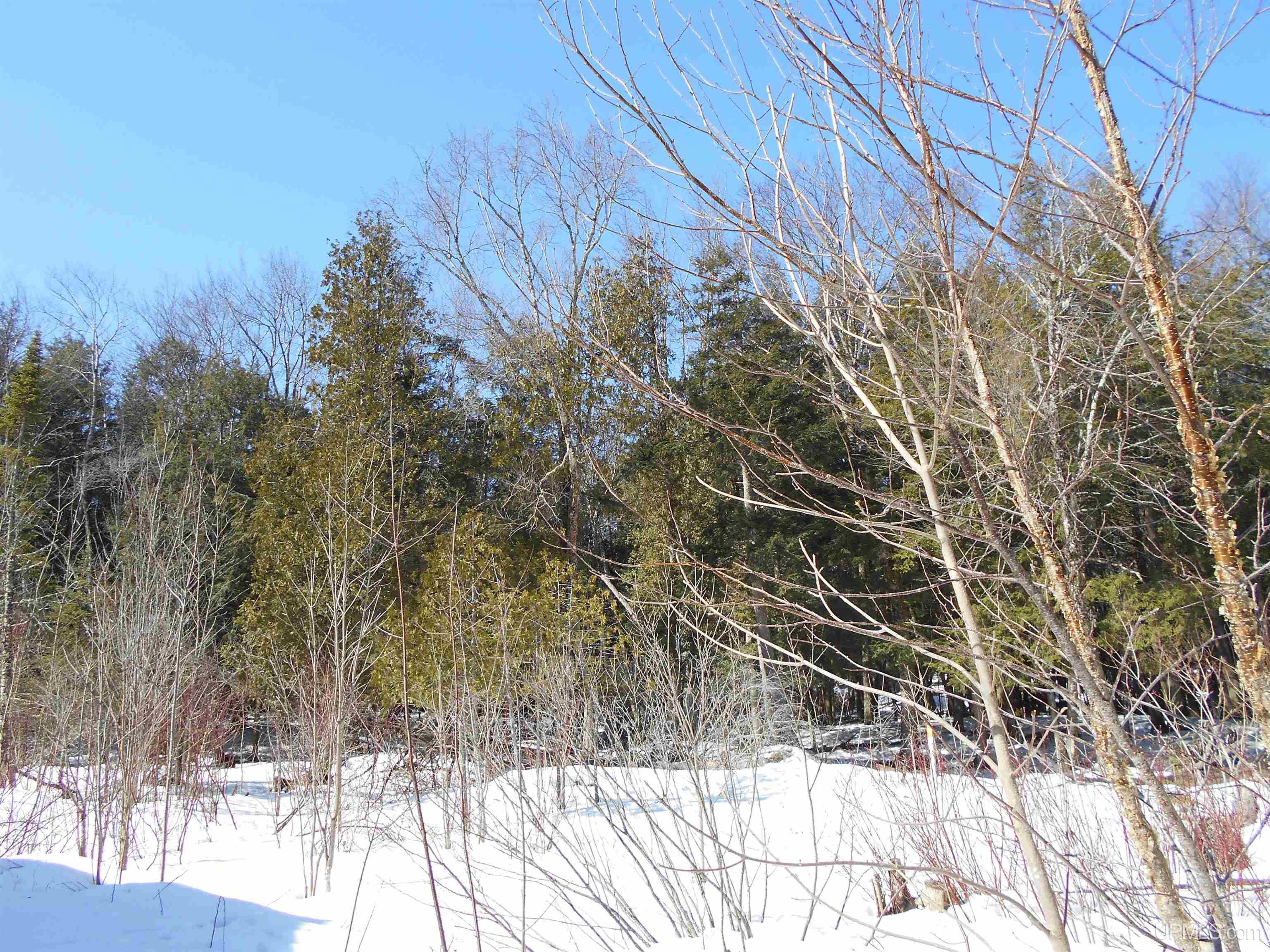 1325 S M149 Road, Manistique, MI, 49854