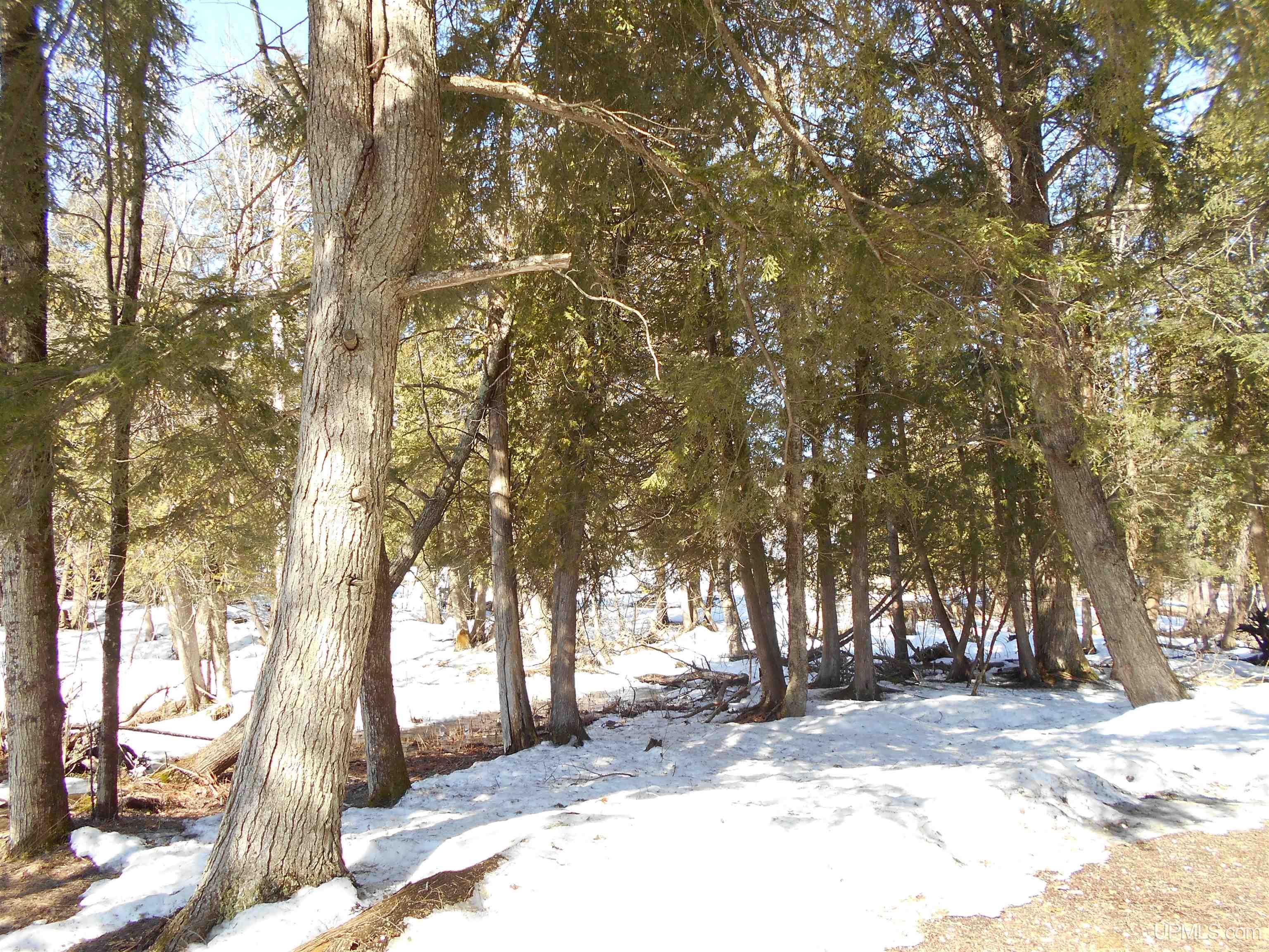 1325 S M149 Road, Manistique, MI, 49854