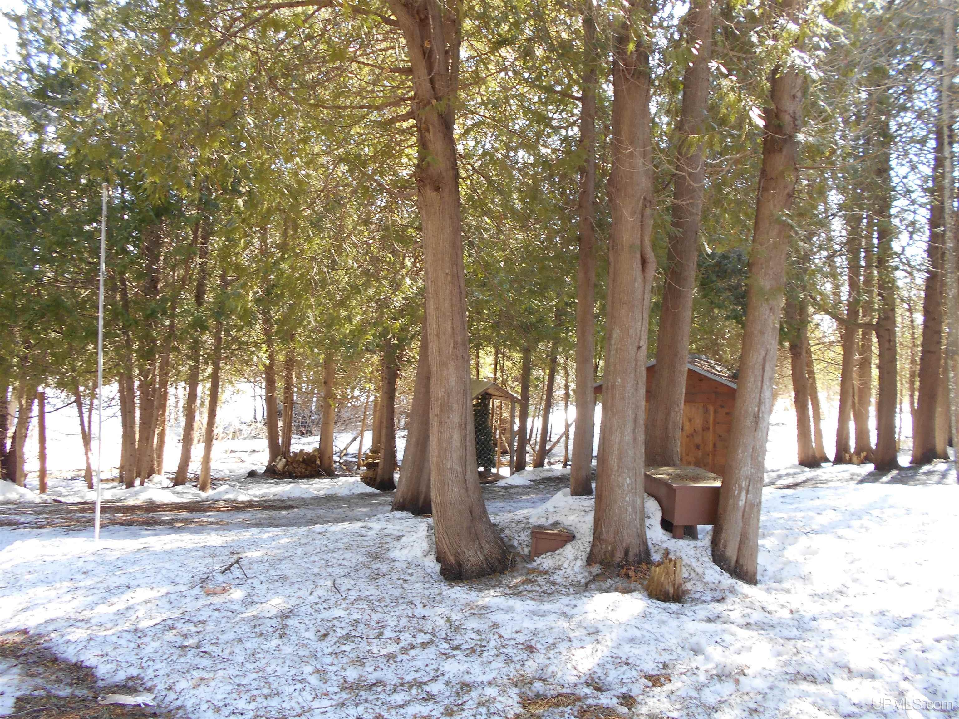 1325 S M149 Road, Manistique, MI, 49854